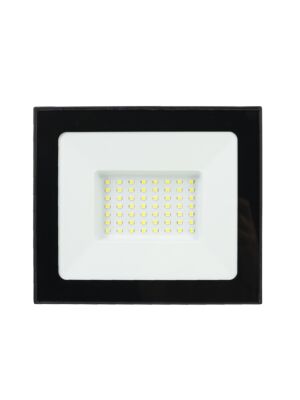 LED-heijastin 50W PNI